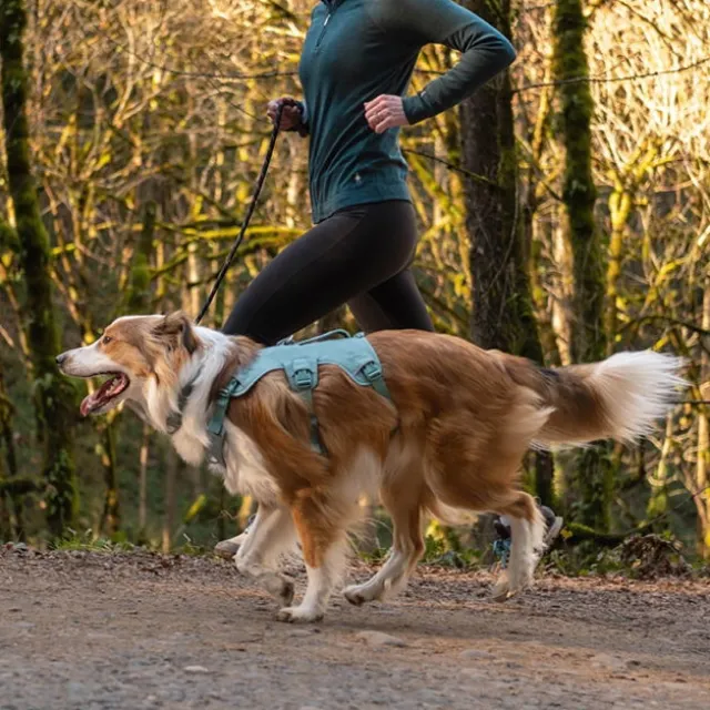Ruffwear Web Master Hundesele Turkis