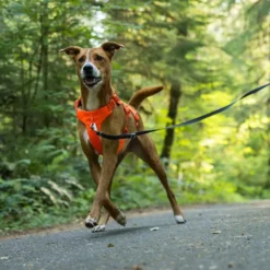 Ruffwear Web Master hundesele, Blaze Orange