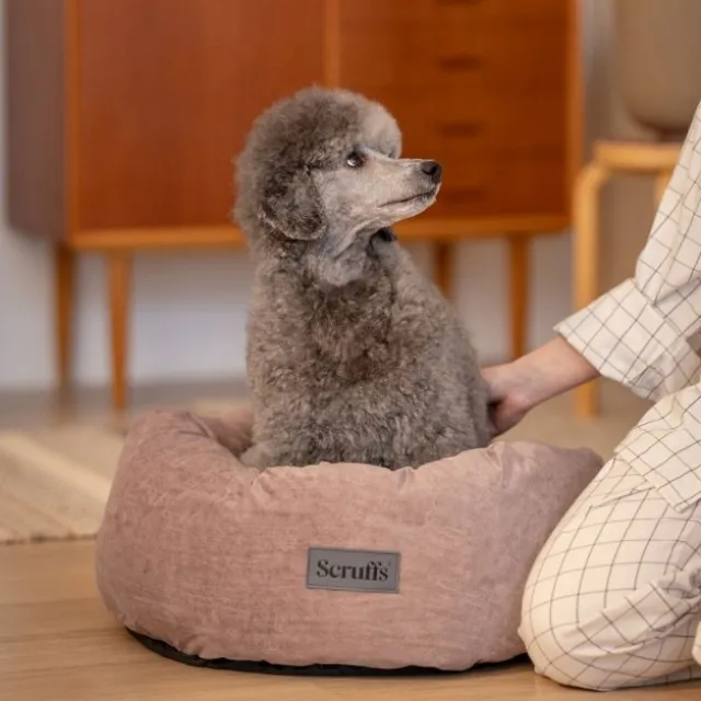 Scruffs Oslo Hundeseng, rosa