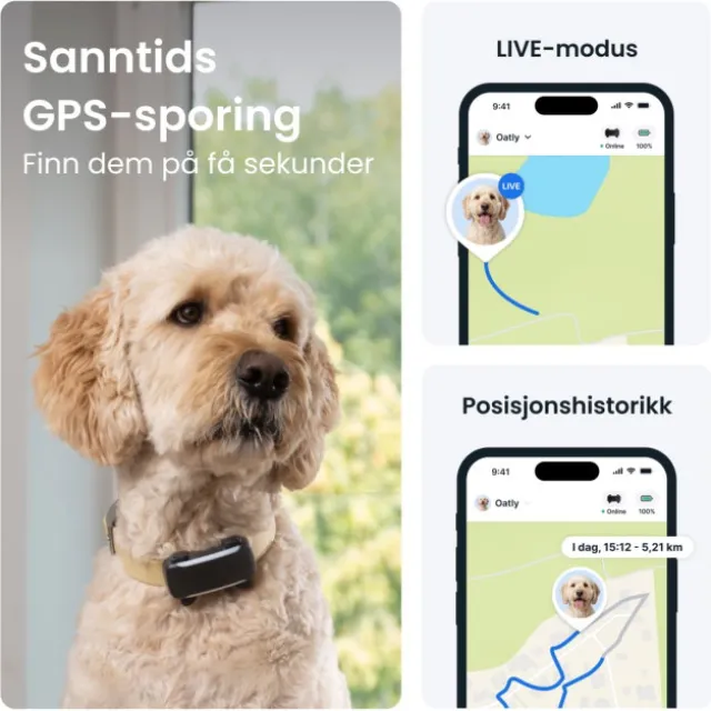 Tractive DOG 6 XL GPS Dog Collar & Health Monitor