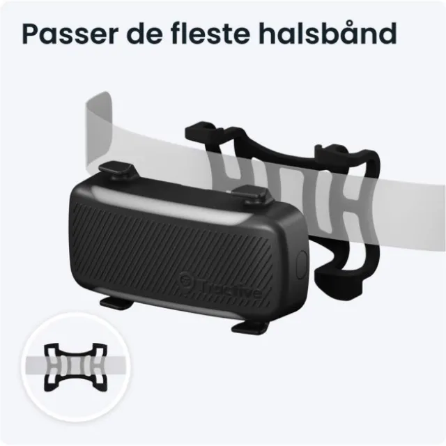 Tractive DOG 6 XL GPS Dog Collar & Health Monitor