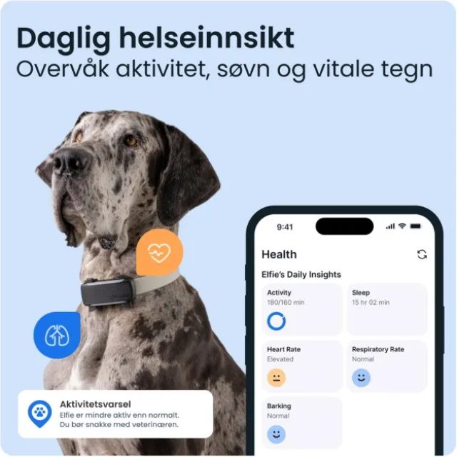 Tractive DOG 6 XL GPS Dog Collar & Health Monitor
