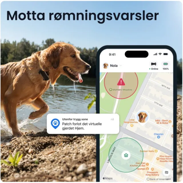 Tractive DOG 6 XL GPS Dog Collar & Health Monitor